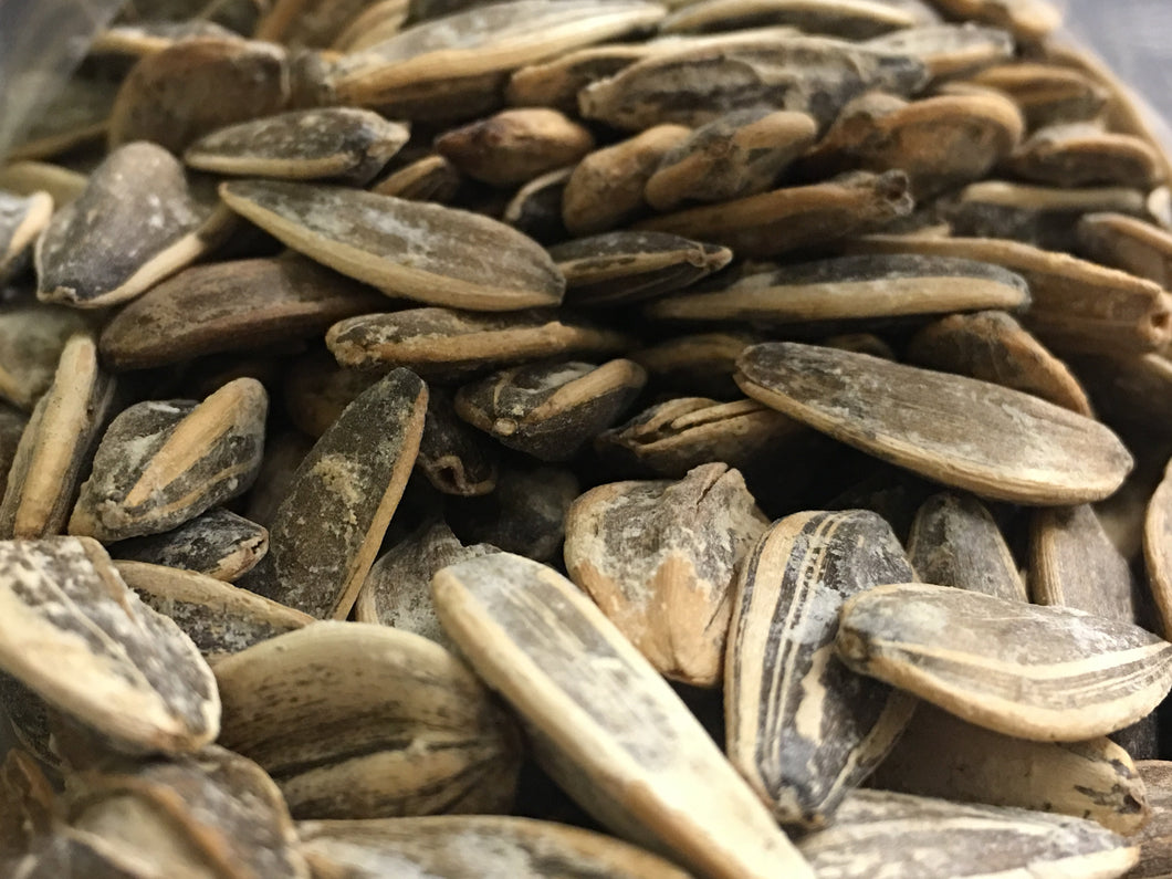 Sunflower Seeds (In shell)